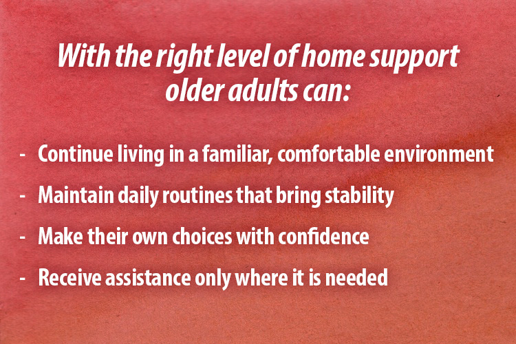 list of home care support bullet points