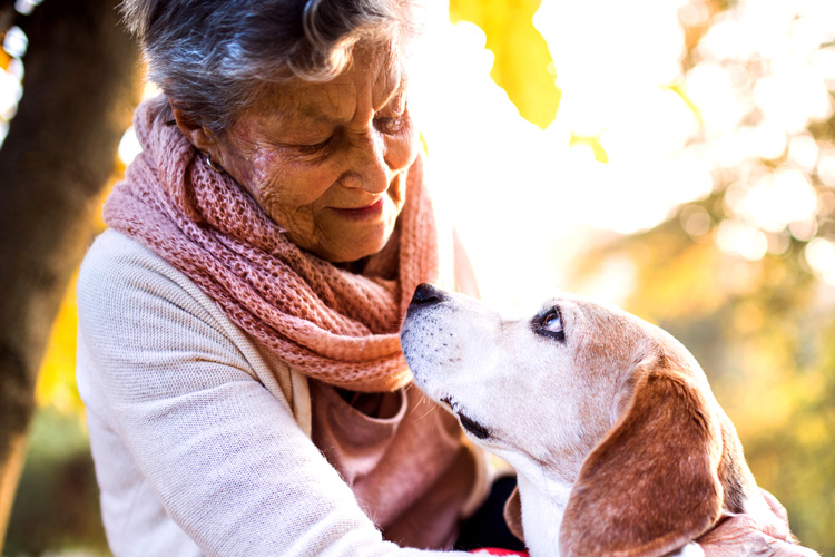 rhythms home care senior woman with pet dog rhythms home care senior woman with pet dog