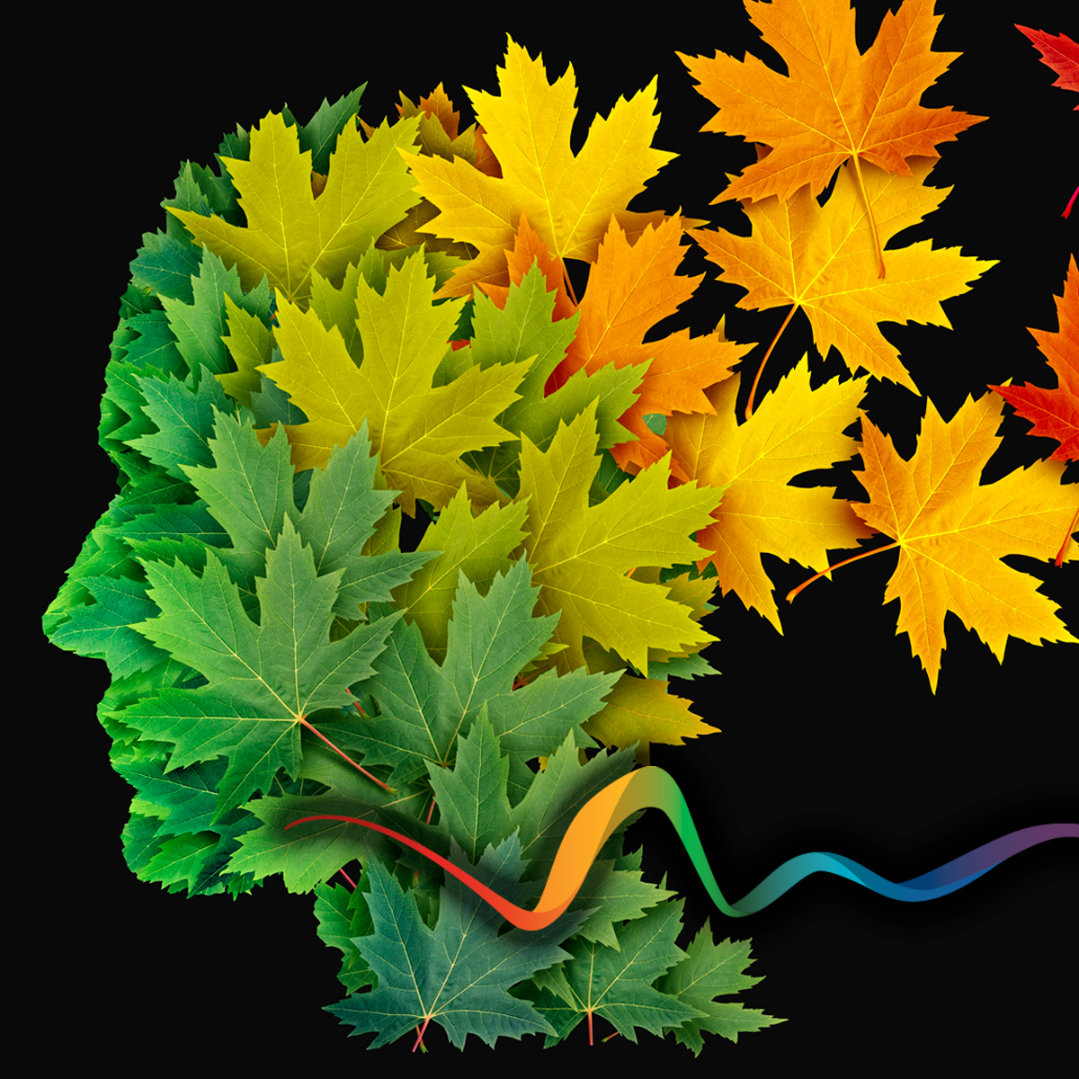 rhythms home care head profile made of autumn leaves